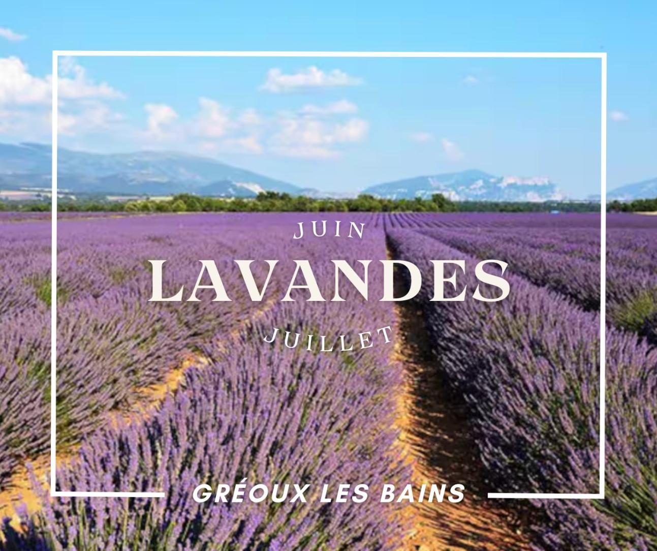 Oasis Tranquille - L'Evasion Au Verdon Gréoux-les-Bains Exterior photo